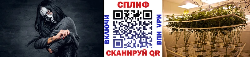 Где можно купить наркотики Ликино-Дулёво ГАШИШ APVP АМФ OMG рабочий сайт Кокаин Меф МАРИХУАНА