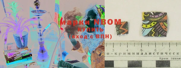 хмурый Аркадак