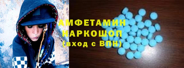 хмурый Аркадак