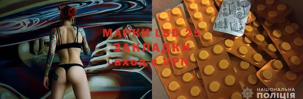 хмурый Аркадак