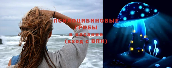 винт Армянск