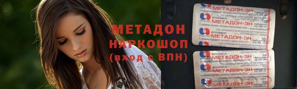 хмурый Аркадак