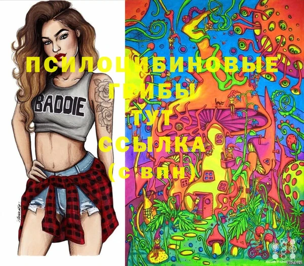 каннабис Арсеньев
