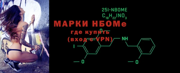 хмурый Аркадак