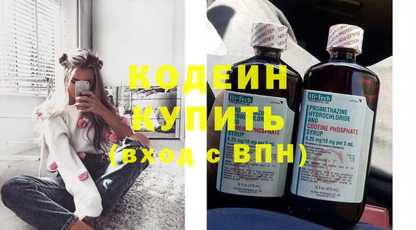хмурый Аркадак