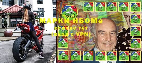 хмурый Аркадак