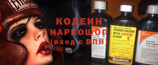 хмурый Аркадак